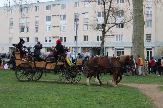 Coche enganches - Calesa   