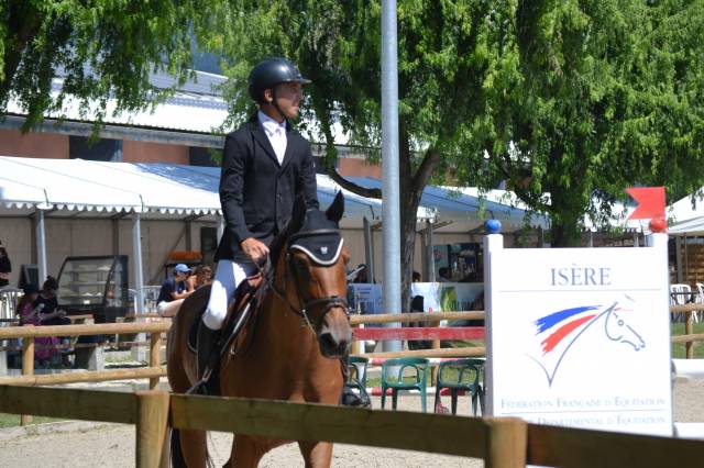 Yegua Silla Francés En venta 2012 Bayo por EPSOM GESMERAY
