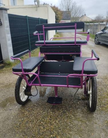 Coche enganches - Maratón ocio   