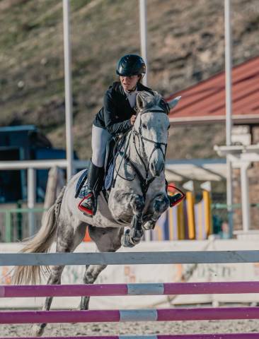 PONI D de SALTO