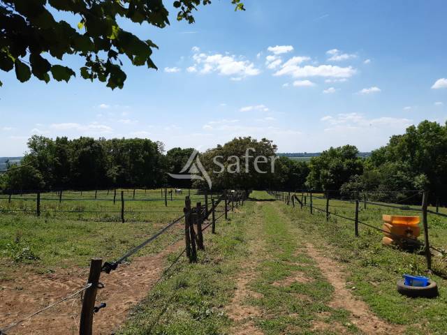 Propiedad ecuestre En venta Deux-Sèvres