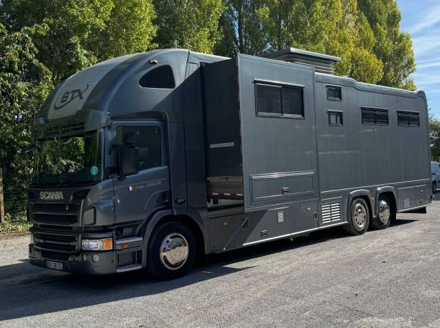 Camión para caballos STX SCANIA 2014 De segunda mano