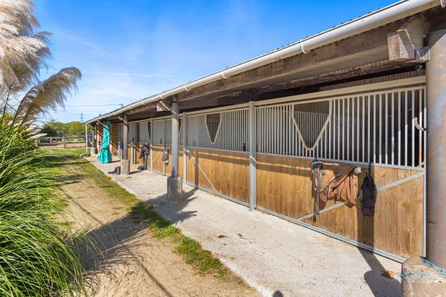 Cuadra de propietarios En venta Loira Atlántico