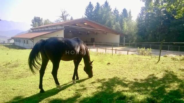 Propiedad ecuestre En venta Alta Saboya