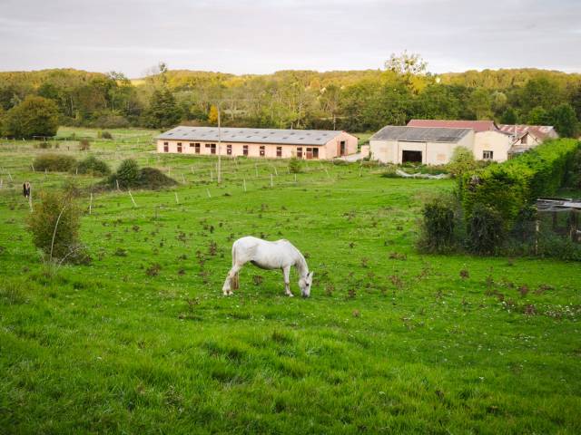 Acaballadero En venta Yonne