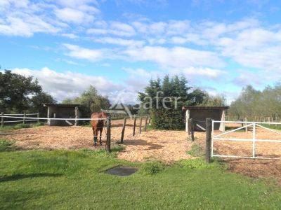 Propiedad ecuestre En venta Loira