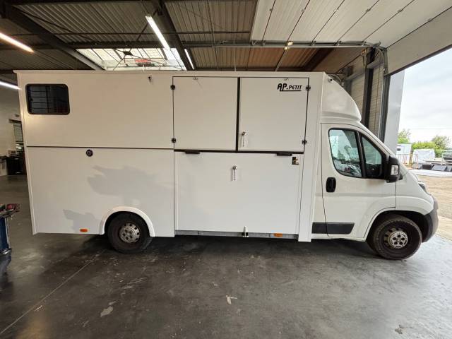 Furgoneta para caballos AP Petit Peugeot Boxer L4   2020 Nuevo