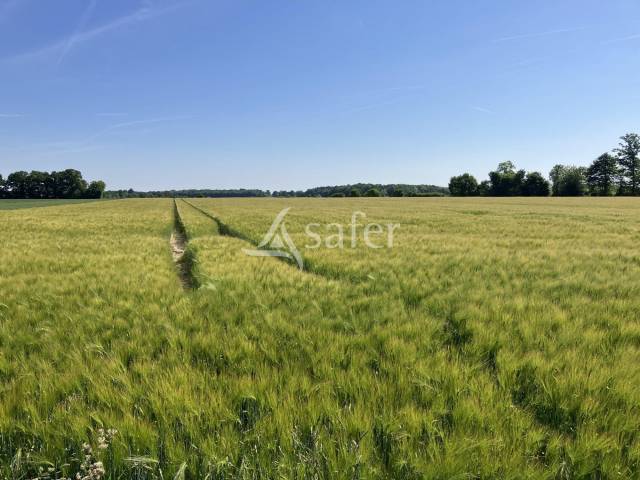 Propiedad rural En venta Eure y Loir