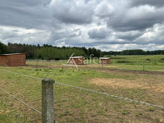 Propiedad ecuestre En venta Sarthe
