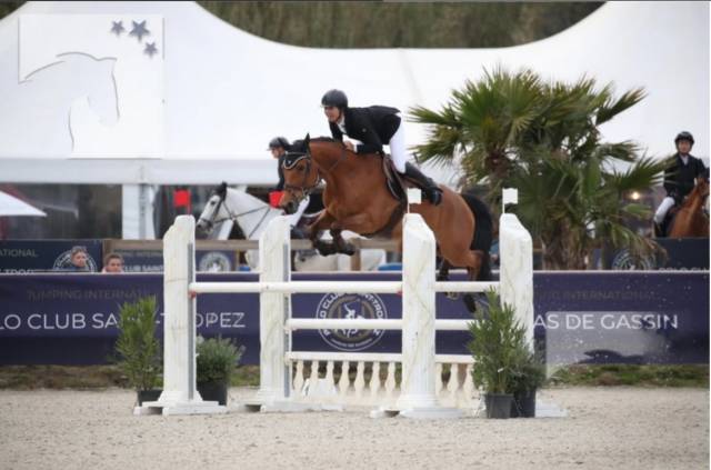 Yegua Silla Francés En venta 2012 Bayo por EPSOM GESMERAY