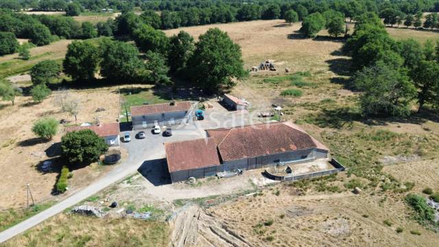 Explotación ovina En venta Charente