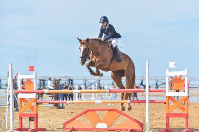 Yegua Silla Francés En venta 2016 Alazán tostado