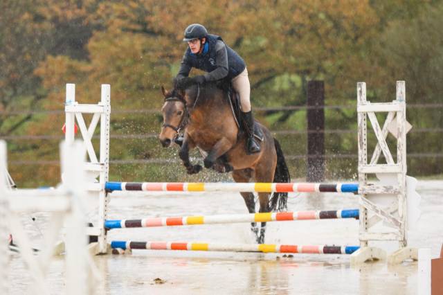 L'ancelot du ménage  - New Forest 2021 por SILVERLEA SIMPLY RED