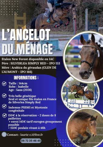 L'ancelot du m&eacute;nage  - New Forest 2021 por SILVERLEA SIMPLY RED