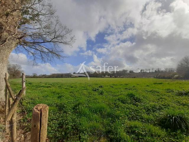 Explotación ovina En venta Deux-Sèvres