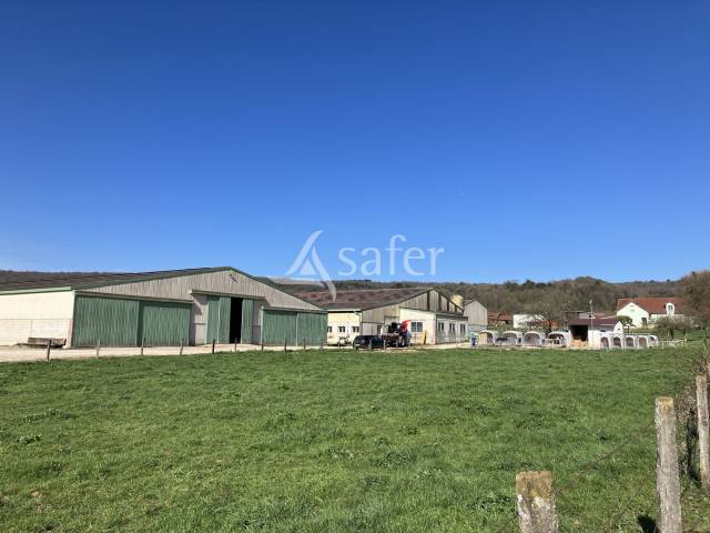 Explotación lechera En venta Alto Saona