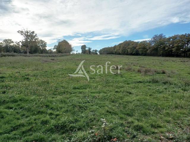 Explotación agrícola En venta Alto Vienne