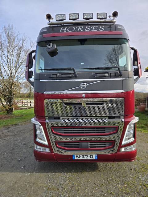 Camión para caballos Volvo FH 460CH EURO6 2017 De segunda mano