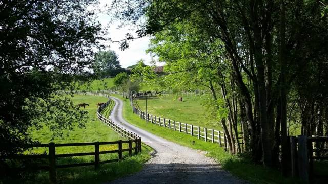 Propiedad ecuestre En venta Orne