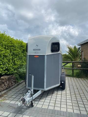 Van caballos Bockmann  2 Caballos 2017 De segunda mano