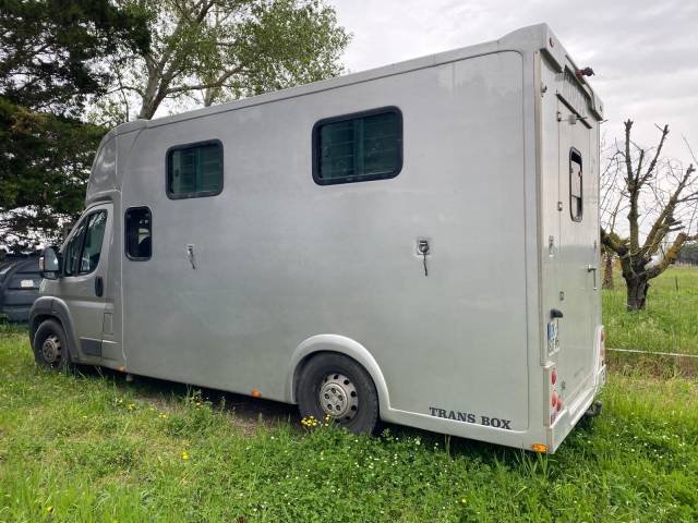 Furgoneta para caballos Trans Box  2014 De segunda mano