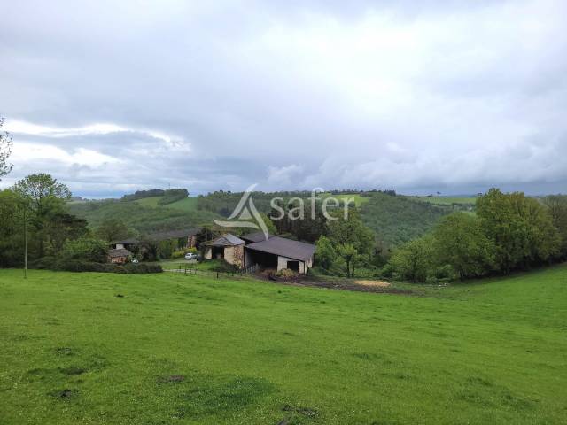 Explotaci&oacute;n cerealista En venta Tarn