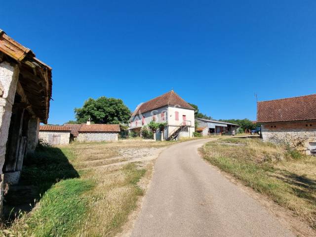 Explotaci&oacute;n ovina En venta Lot