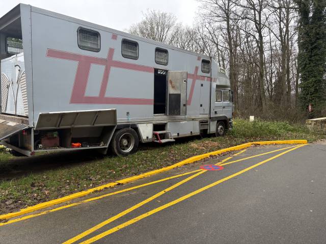 Camión para caballos Renault Mildium 1985 De segunda mano