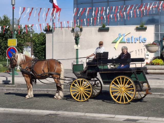 Coche enganches - Maratón ocio - Otra marca - sandra 