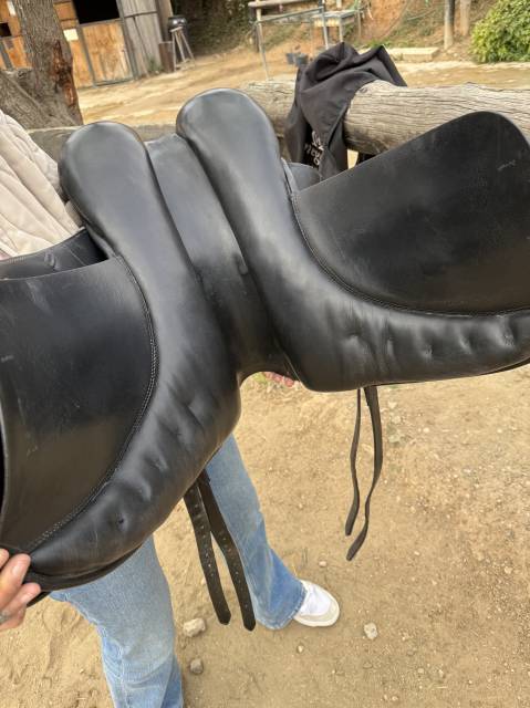 Montura doma clásica Don Rodrigo 17”