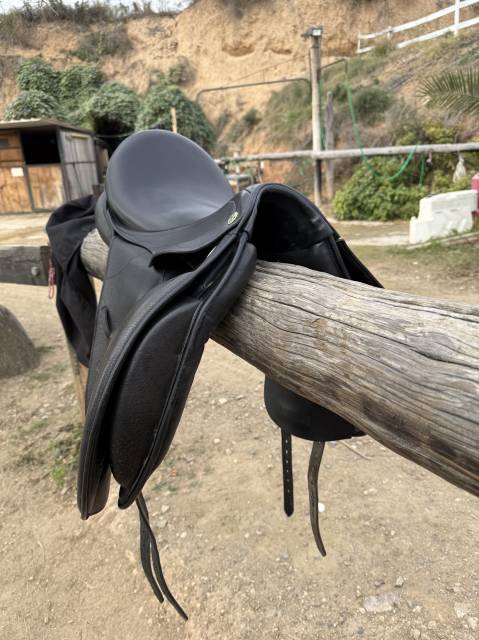 Montura doma clásica Don Rodrigo 17”