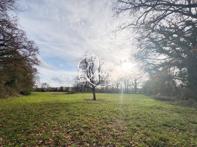 Propiedad ecuestre En venta Calvados