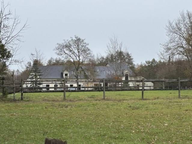 Propiedad ecuestre En venta Maine y Loira