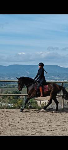 CALIDAD,ELEGANCIA Y POTENCIAL: YEGUA DE 4 A&Ntilde;OS