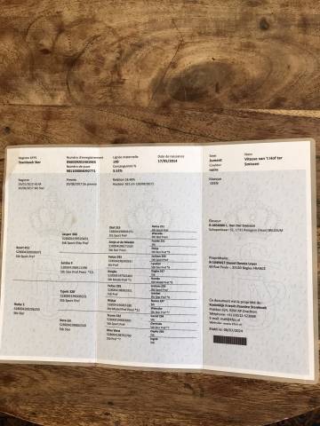 Yegua Fris&oacute;n En venta 2014 Negro