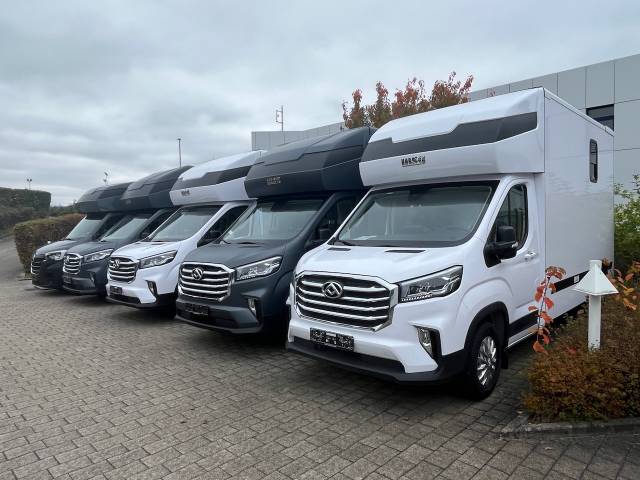 Furgoneta para caballos Otra marca MAXUS 0 Nuevo