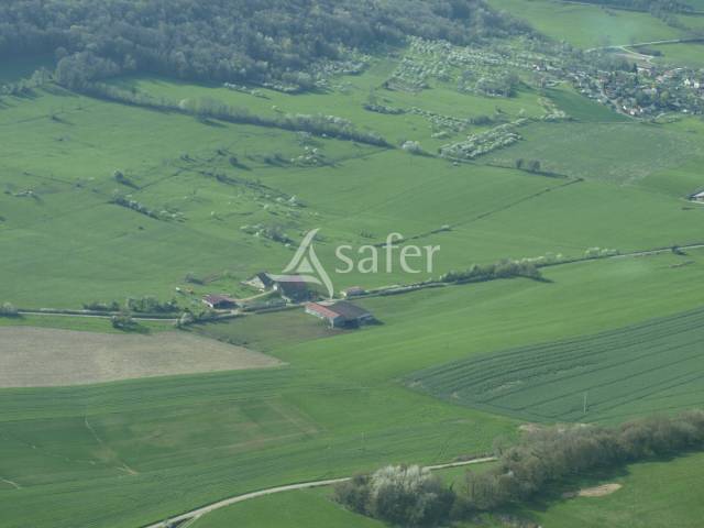 Explotaci&oacute;n agr&iacute;cola En venta Alto Saona