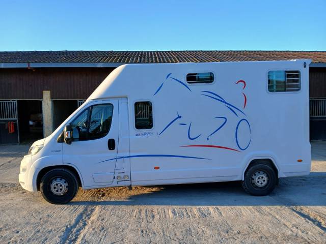 Furgoneta para caballos Fiat  Fiat Ducato 2019 De segunda mano