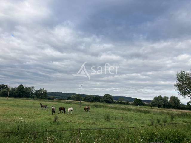 Propiedad ecuestre En venta Alto Saona