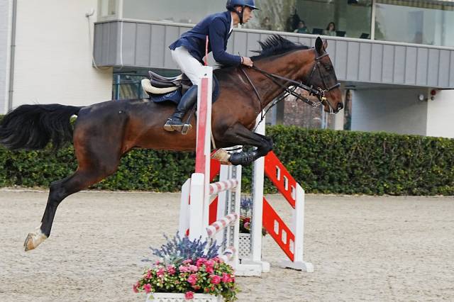 CABALLO SALTO  -- Shabrang ATT --