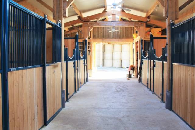 Propiedad ecuestre En venta Puy-de-D&ocirc;me