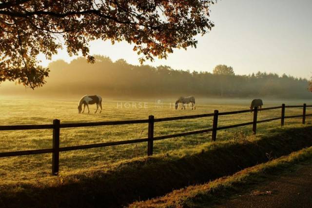 Propiedad ecuestre En venta Dr&ocirc;me