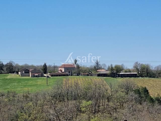 Explotaci&oacute;n vit&iacute;cola / Vi&ntilde;edo En venta Lot