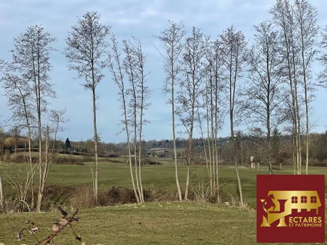 Propiedad ecuestre En venta Calvados