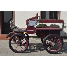 Coche enganches - Marat&oacute;n ocio Dominiak  