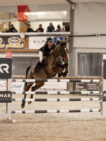 Caballo castrado Origine Constat&eacute;e En venta 2015 Bayo