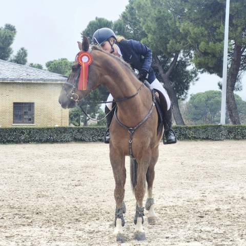 Quiero compartir mi caballo /Doma