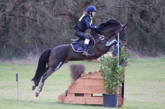 Secret d'Arquetan - PFS Poni Fran&ccedil;&eacute;s de Silla 2006 por GEDEON DES MAUVIS