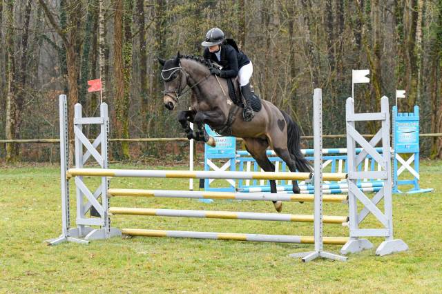 Jupiter d'Arquetan - PFS Poni Fran&ccedil;&eacute;s de Silla 2019 por IWAN DE VILLATE