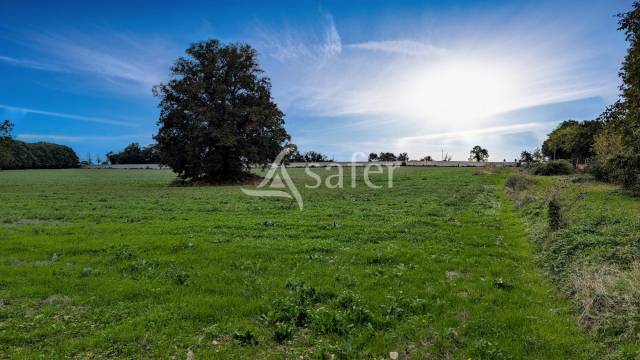 Propiedad rural En venta Deux-S&egrave;vres
